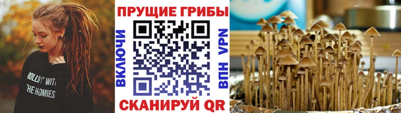 Купить  Северобайкальск  Псилоцибиновые грибы ЛСД 